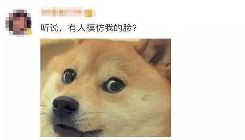 微信吃瓜大佬  第2张